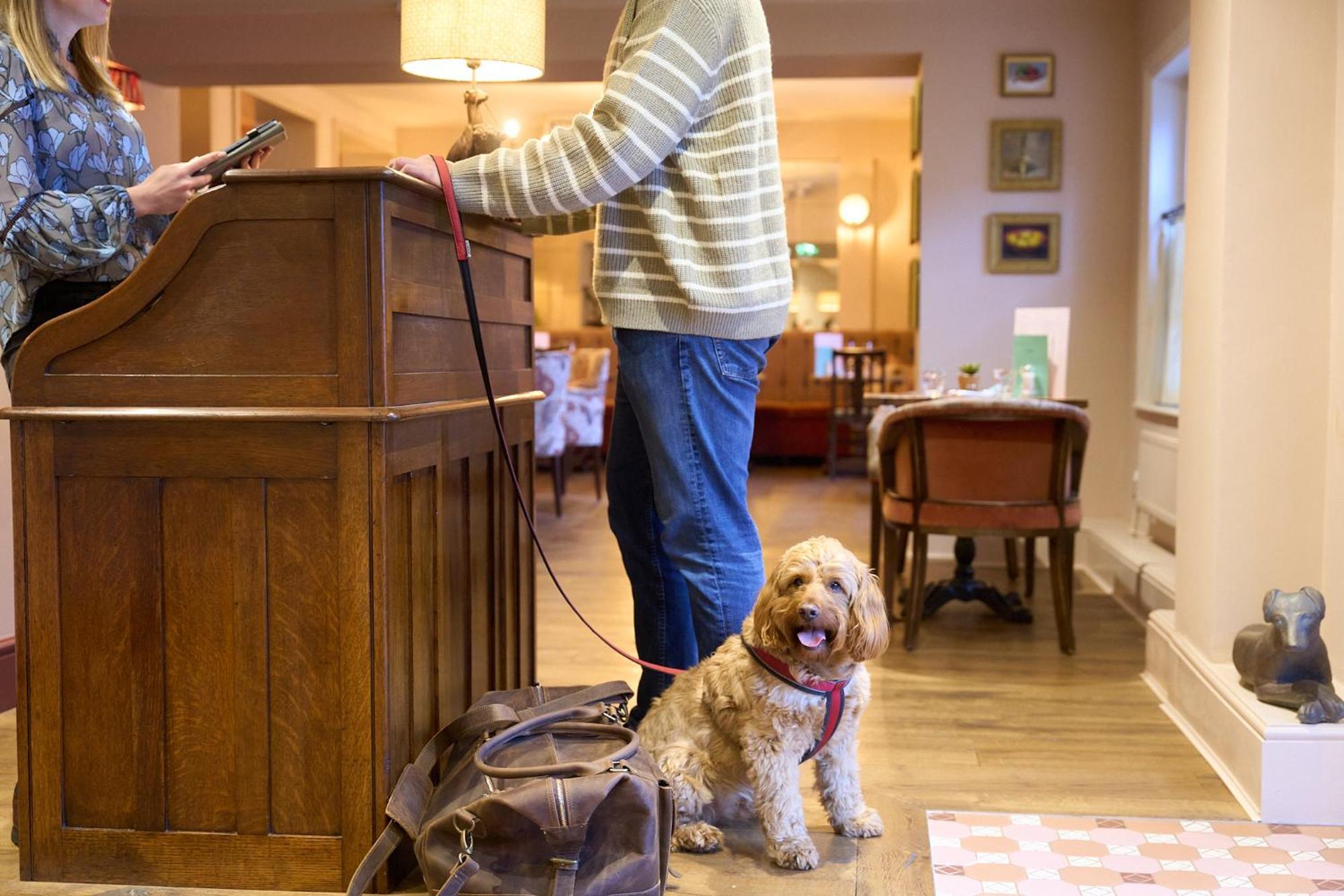 The White Horse Hotel Dorking Luaran gambar